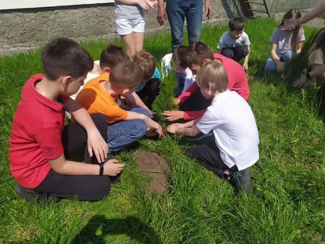 Зображення 15