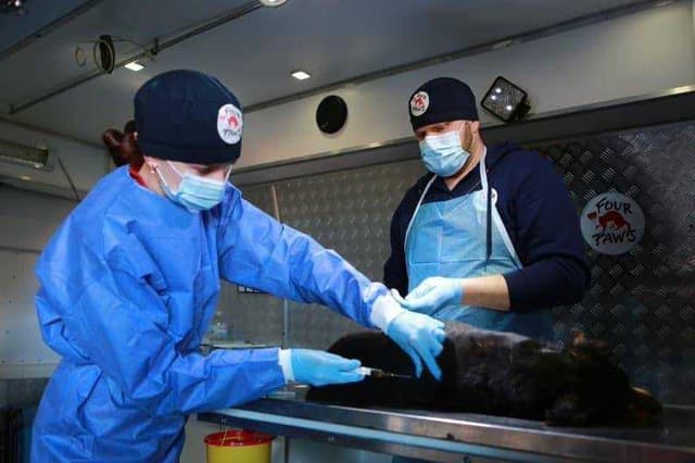 Зображення 12