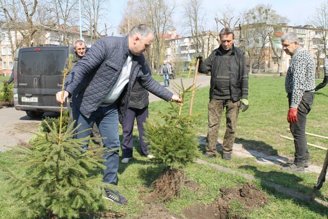 Зображення 15