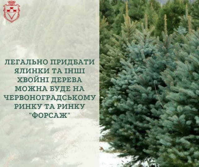 Зображення 15