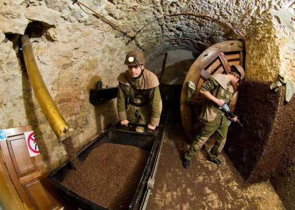 Зображення