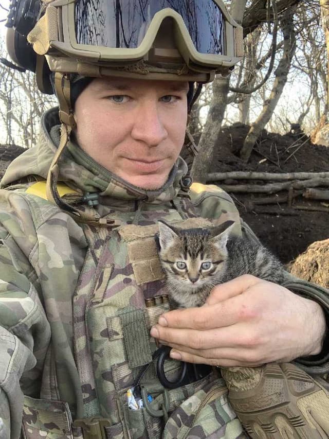 Зображення 12