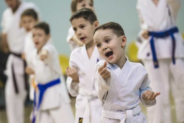 Зображення 14