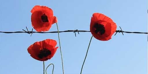 Зображення 13