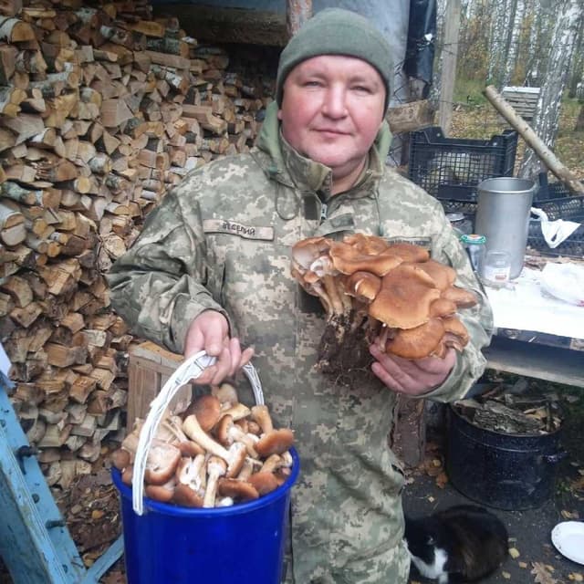 Зображення 8