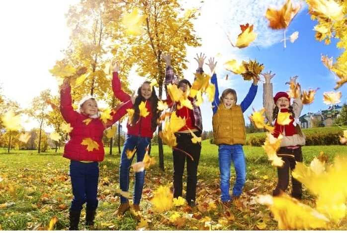 Зображення