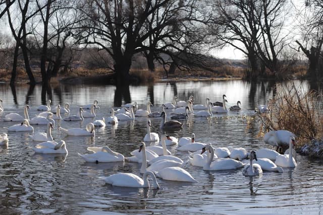 Зображення 9