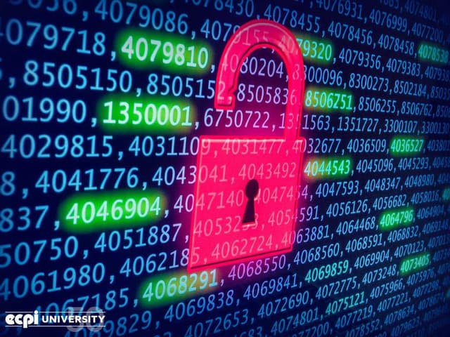 Зображення 12