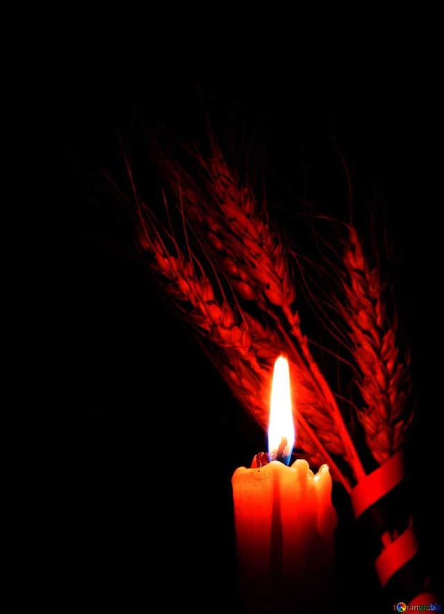 Зображення 15