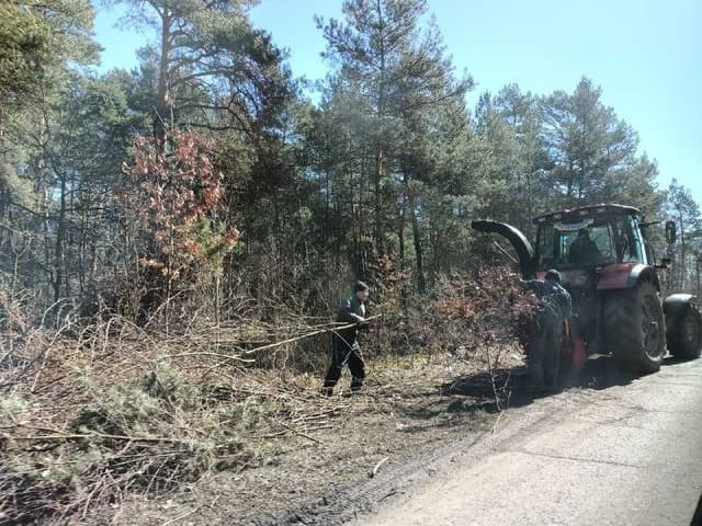 Зображення 14