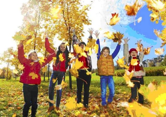 Зображення 14