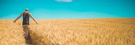 Зображення 11