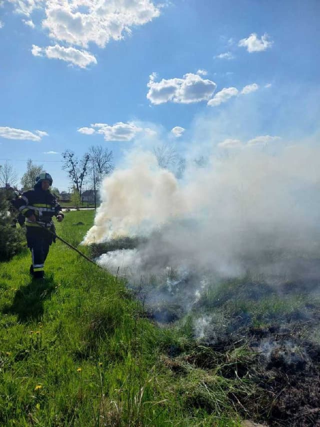 Зображення 11