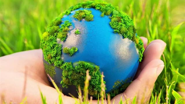 Зображення 14