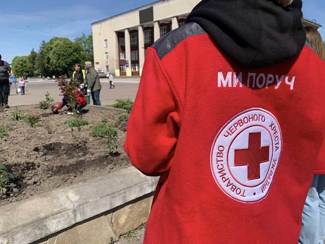 Зображення 11