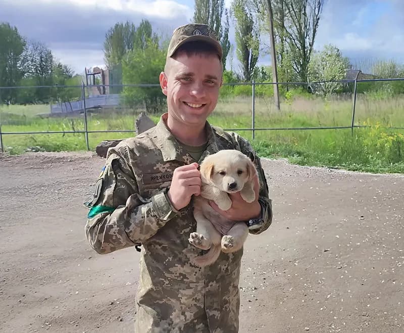 Яремкович Назар Васильович